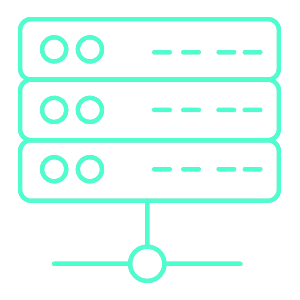 Server and Network Support